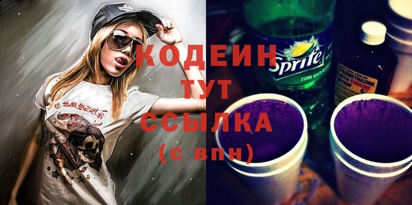 дурь Арсеньев