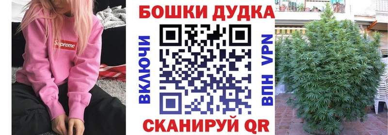 Шишки марихуана план  хочу наркоту  Николаевск 